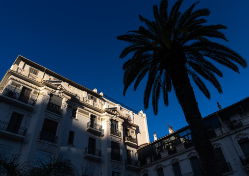 Old french colonial buildings, North Africa, Algiers, Algeria