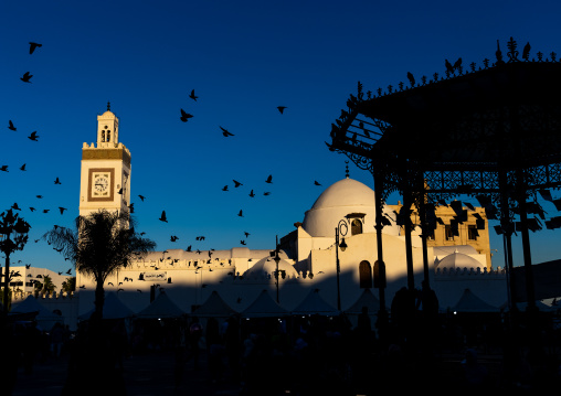 Djamaa el Djedid mosque, North Africa, Algiers, Algeria