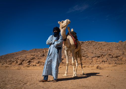 Tuareg man standing in front of his camel in the desert, North Africa, Tamanrasset, Algeria