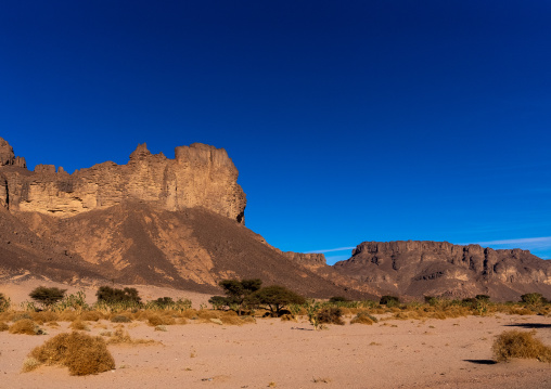 Rock formations in the desert, Tassili N'Ajjer National Park, Tadrart Rouge, Algeria