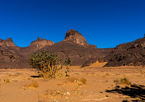 Rock formation in the desert, Tassili N'Ajjer National Park, Tadrart Rouge, Algeria