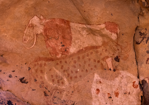 Rock painting depicting cows, Tassili N'Ajjer National Park, Tadrart Rouge, Algeria