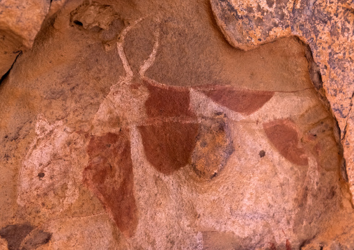 Rock painting depicting cows, Tassili N'Ajjer National Park, Tadrart Rouge, Algeria