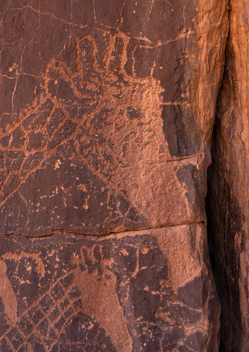 Rock carvings depicting giraffes, Tassili N'Ajjer National Park, Tadrart Rouge, Algeria