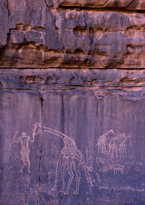 Rock carvings depicting a warrior with giraffes, Tassili N'Ajjer National Park, Tadrart Rouge, Algeria