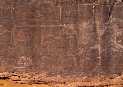 Rock carvings depicting cows, Tassili N'Ajjer National Park, Tadrart Rouge, Algeria