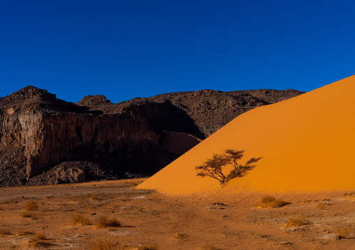 Rocks and sand dunes in Sahara desert, Tassili N'Ajjer National Park, Tadrart Rouge, Algeria