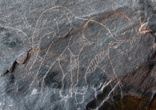 Rock carvings depicting elephant pooing, Tassili N'Ajjer National Park, Tadrart Rouge, Algeria