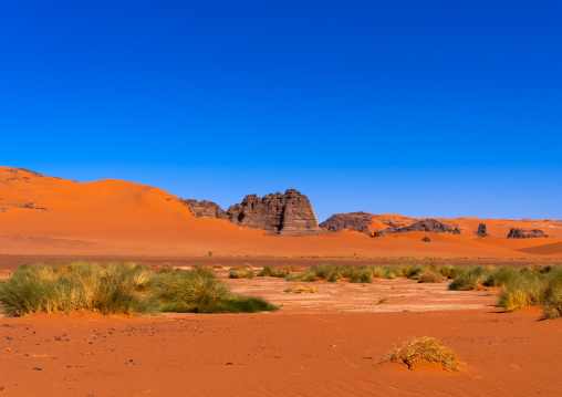 Rocks and sand dunes in Sahara desert, Tassili N'Ajjer National Park, Tadrart Rouge, Algeria