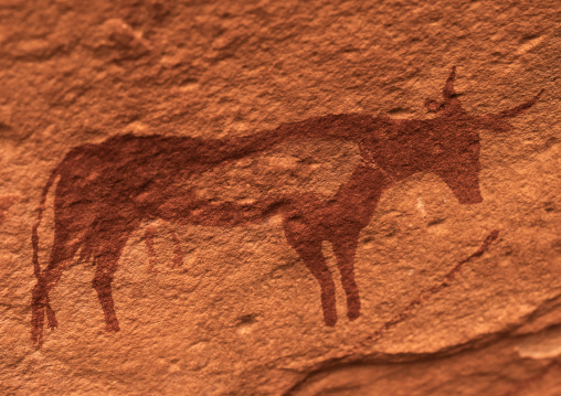 Rock painting depicting a cow, Tassili N'Ajjer National Park, Tadrart Rouge, Algeria