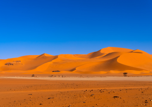 Sand dunes in the Sahara desert, Tassili N'Ajjer National Park, Tadrart Rouge, Algeria