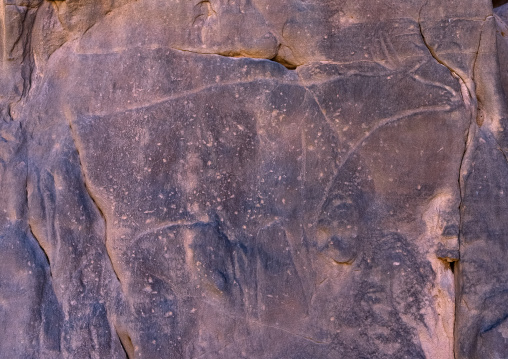 Rock carving depicting a cow, Tassili N'Ajjer National Park, Tadrart Rouge, Algeria