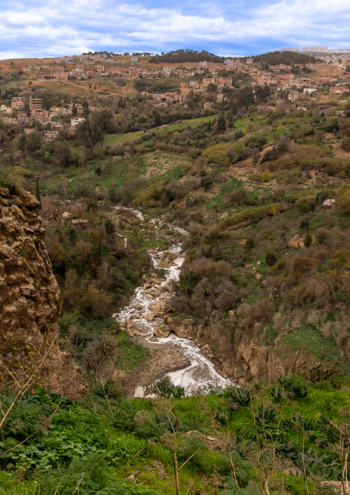 City on the edge of the canyon, North Africa, Constantine, Algeria