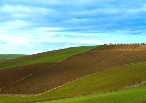 Fields in a farm, North Africa, Constantine, Algeria