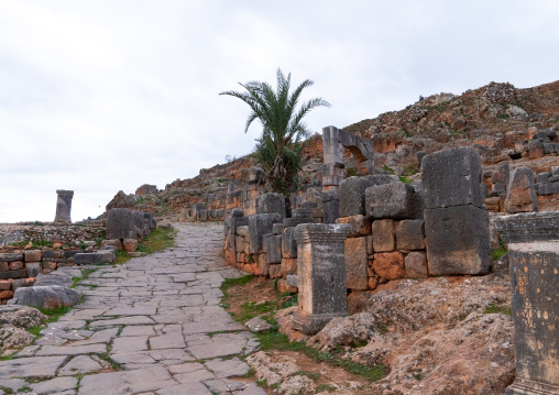 Bending section of Cardo Maximus, North Africa, Bni Hamden, Algeria