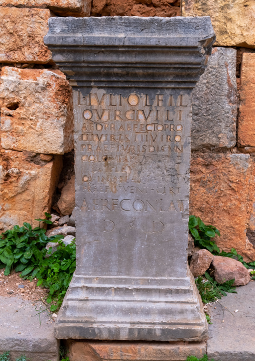 Inscriptions along Cardo Maximus in Tiddis Roman Ruins, North Africa, Bni Hamden, Algeria