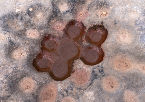 Holes to grind grains in Tiddis Roman Ruins, North Africa, Bni Hamden, Algeria