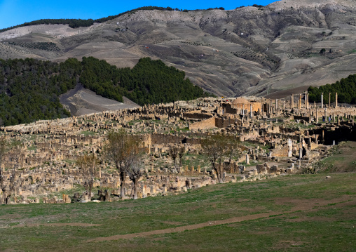 Forum laid out by Septimius Severus, North Africa, Djemila, Algeria