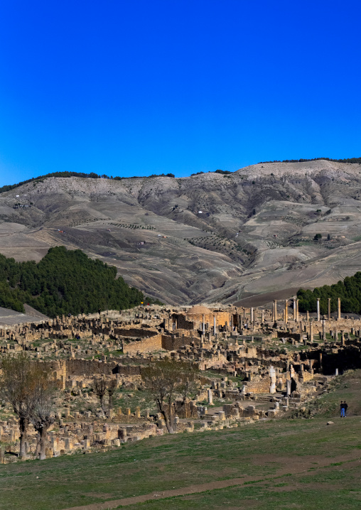 Forum laid out by Septimius Severus, North Africa, Djemila, Algeria