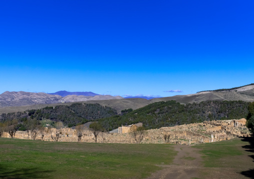 The Roman ruins of Djemila, North Africa, Djemila, Algeria