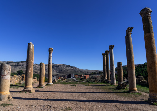 The Roman ruins of Djemila, North Africa, Djemila, Algeria