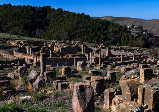 The Roman ruins of Djemila, North Africa, Djemila, Algeria