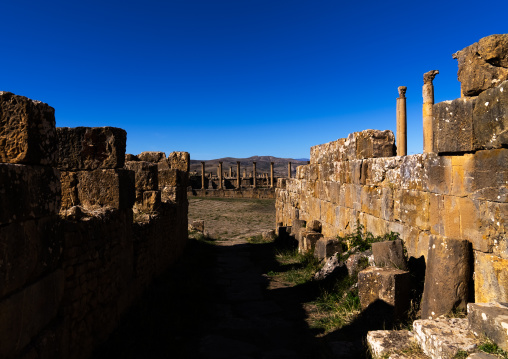 The Roman ruins of Djemila, North Africa, Djemila, Algeria