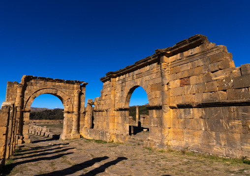 Cardo in the Roman ruins of Djemila, North Africa, Djemila, Algeria