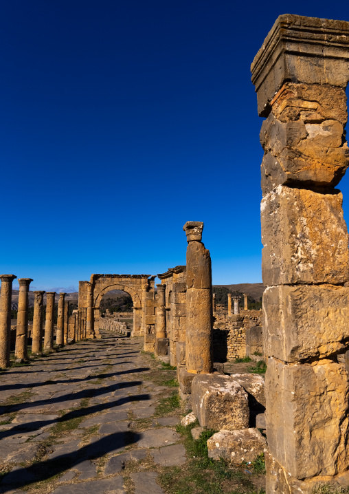 Cardo in the Roman ruins of Djemila, North Africa, Djemila, Algeria