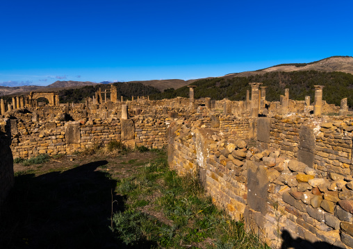 The Roman ruins of Djemila, North Africa, Djemila, Algeria