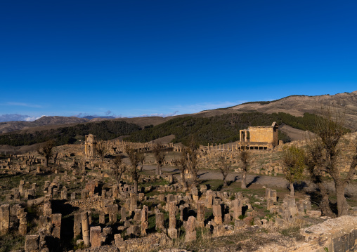 The Roman ruins of Djemila, North Africa, Djemila, Algeria