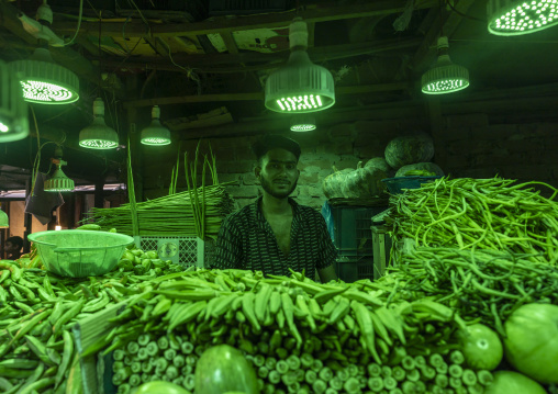 Seller in the vegetables and fruits morning market, Dhaka Division, Dhaka, Bangladesh