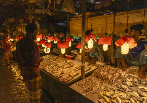 Lamps over fresh fishes in fish market, Dhaka Division, Dhaka, Bangladesh