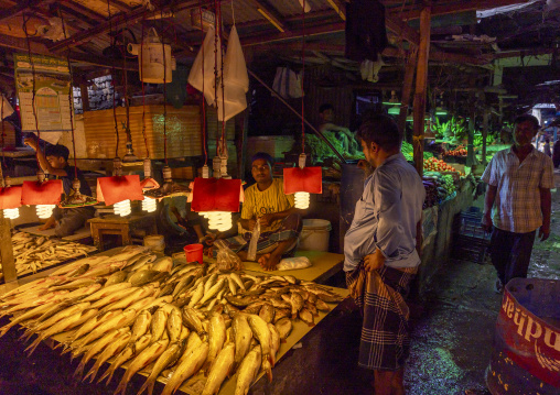 Lamps over fresh fishes in fish market, Dhaka Division, Dhaka, Bangladesh