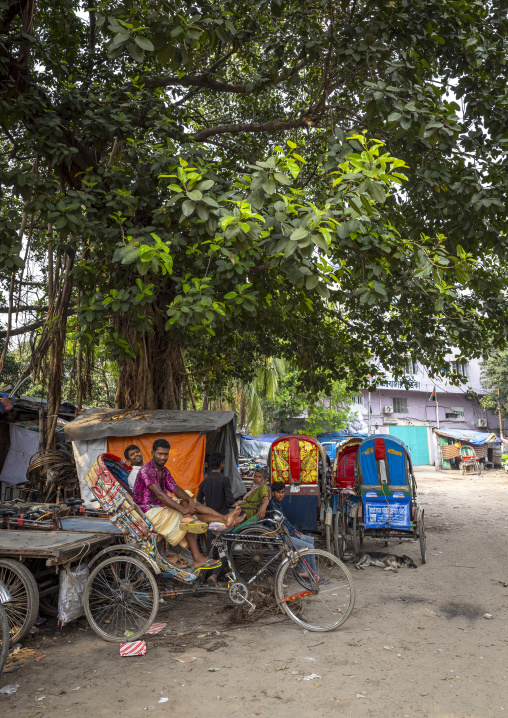 Rickshaw drivers waiting under a tree, Dhaka Division, Dhaka, Bangladesh