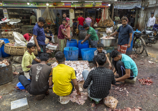 Bangladeshi men cutting chickens at Kawran bazar, Dhaka Division, Dhaka, Bangladesh