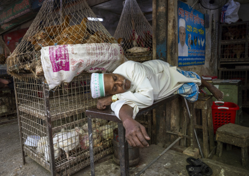 Bangladeshi man sleeping near chicken cages at Kawran bazar, Dhaka Division, Dhaka, Bangladesh