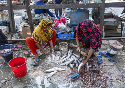 Bangladeshi women selling fishes in Kawran bazar, Dhaka Division, Dhaka, Bangladesh