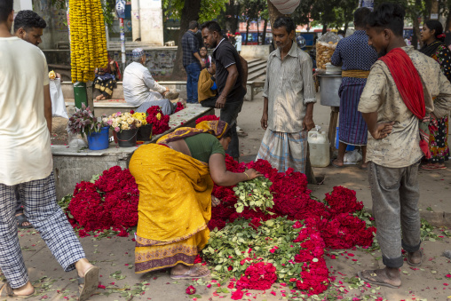 Red roses for sale in the flower market, Dhaka Division, Dhaka, Bangladesh