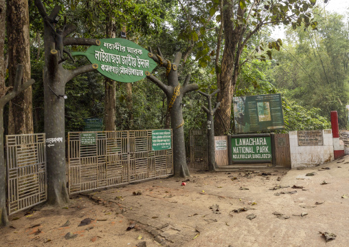 Lawachara national park entrance, Sylhet Division, Moulvibazar, Bangladesh