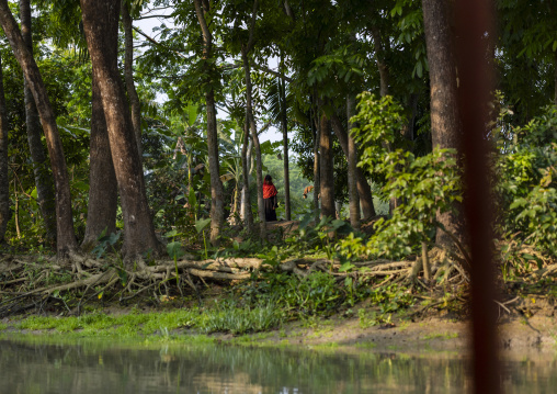 Bangladeshi woman on a river bank in Sundarbans, Barisal Division, Banaripara, Bangladesh