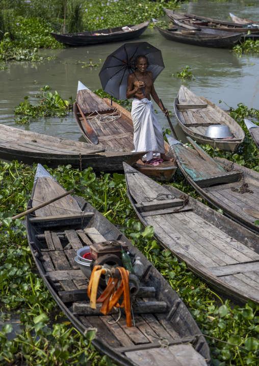 Wooden boats moored along a water hyacinth infested river in Sundarbans, Barisal Division, Harta, Bangladesh