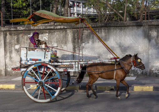 Bangladeshi man on a cart pulled by a horse, Rajshahi Division, Rajshahi, Bangladesh