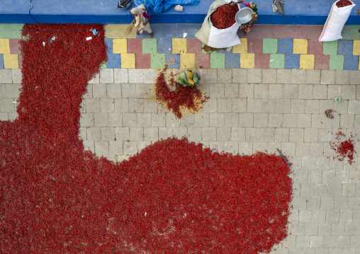 Aerial view of bangladeshi workers who dry red chili pepper, Rajshahi Division, Sariakandi, Bangladesh