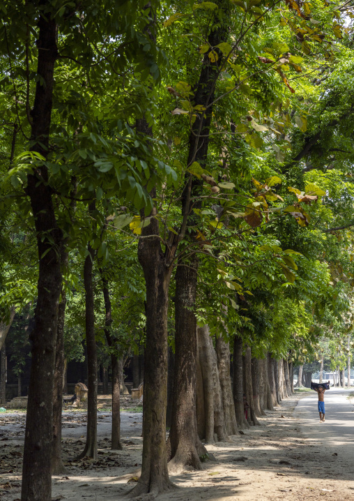 Park at Pakutia Zamindar Bari, Dhaka Division, Nagarpur, Bangladesh