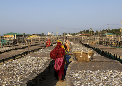 Bangladeshi female workers laids out fish to dry in sun, Chittagong Division, Cox's Bazar Sadar, Bangladesh