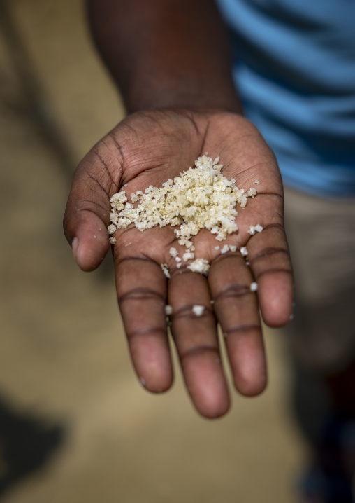 Bangladeshi man showing salt in his hand, Chittagong Division, Maheshkhali, Bangladesh