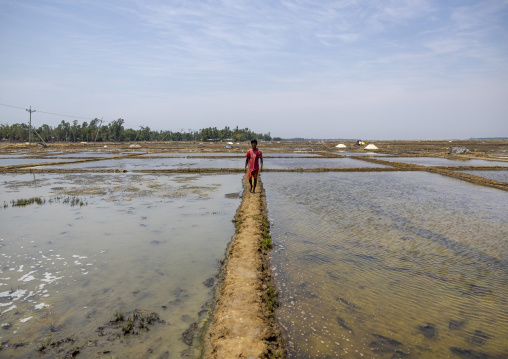 Bangladeshi man working in a salt field, Chittagong Division, Maheshkhali, Bangladesh