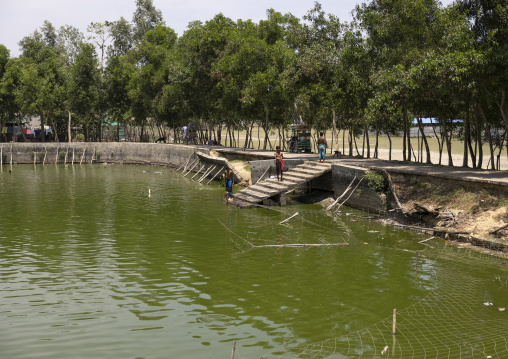 Bangladeshi people washing clothes in a pond, Chittagong Division, Maheshkhali, Bangladesh