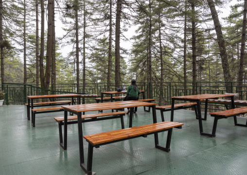 Bhutanese woman in Royal Takin preserve cafe, Thimphu, Motithang, Bhutan